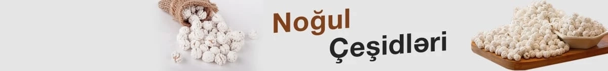 Noğul